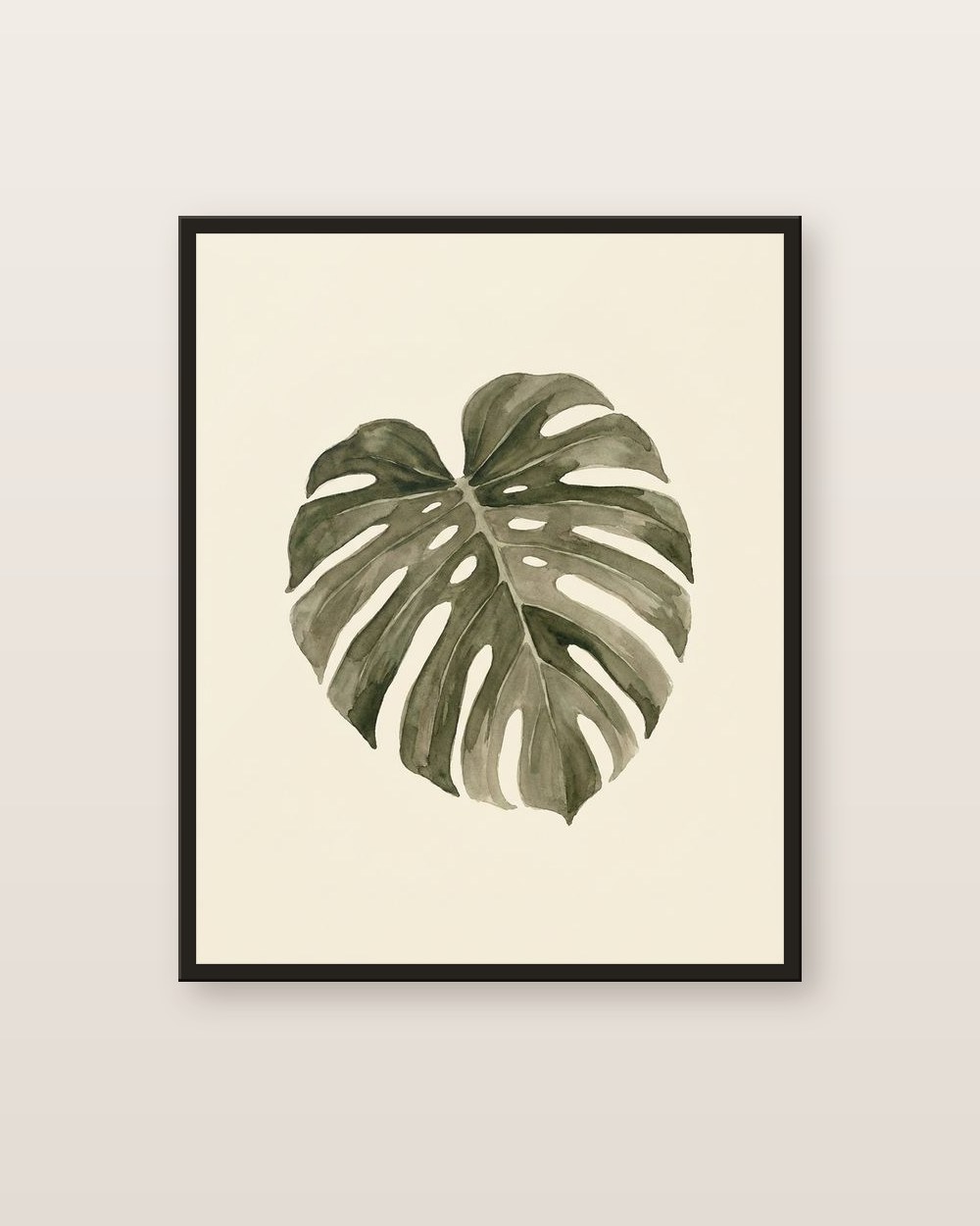 Monstera
