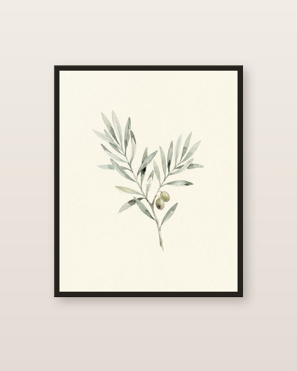 Olive branch