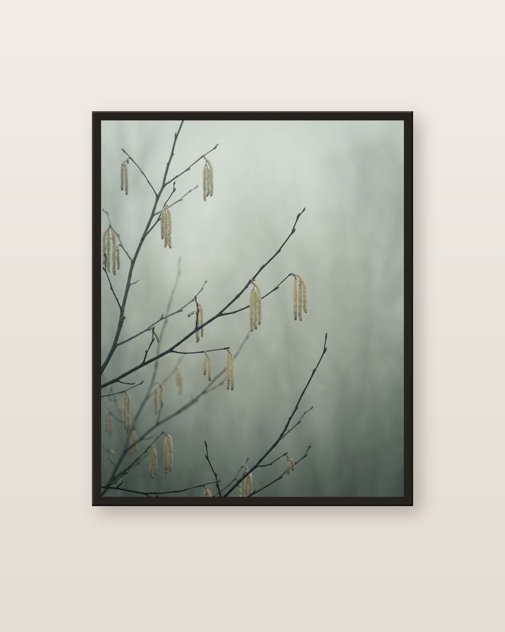 Hazel catkins