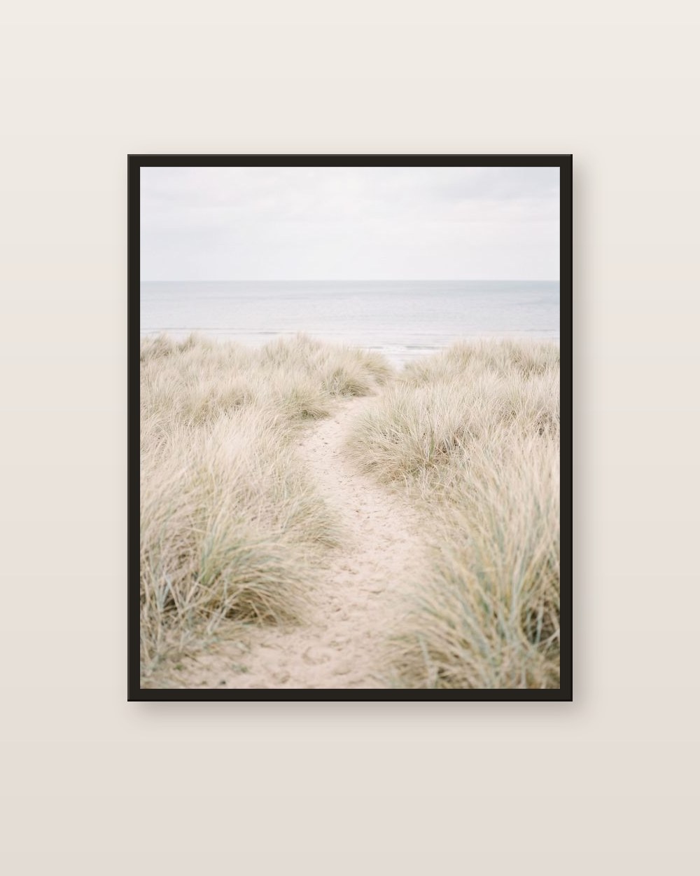 The dune path