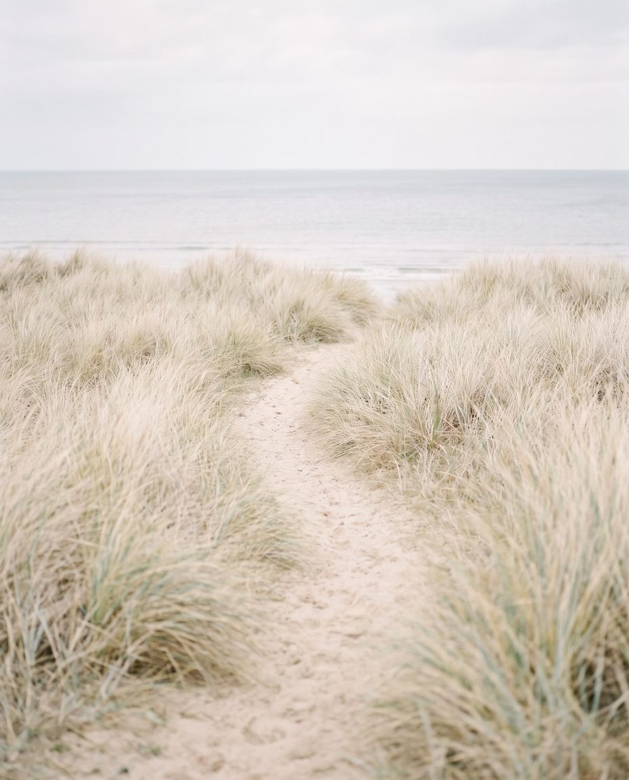 The dune path, landscape print