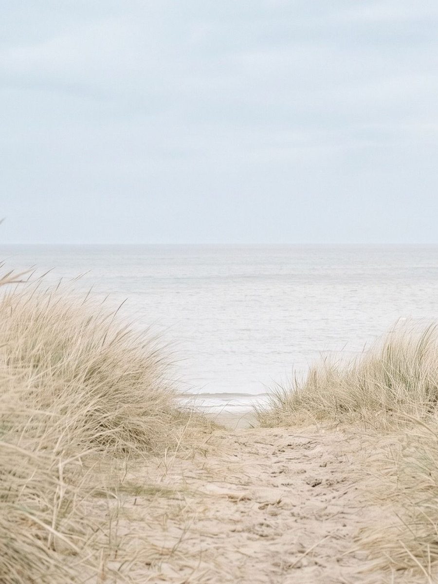 The dunes · centre panel, landscape print