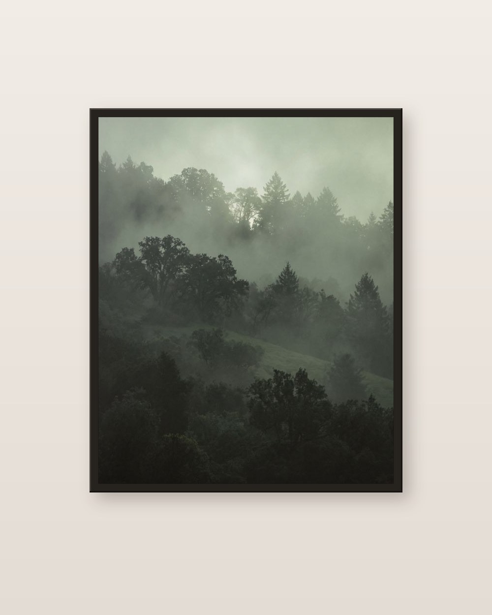 Misty forest