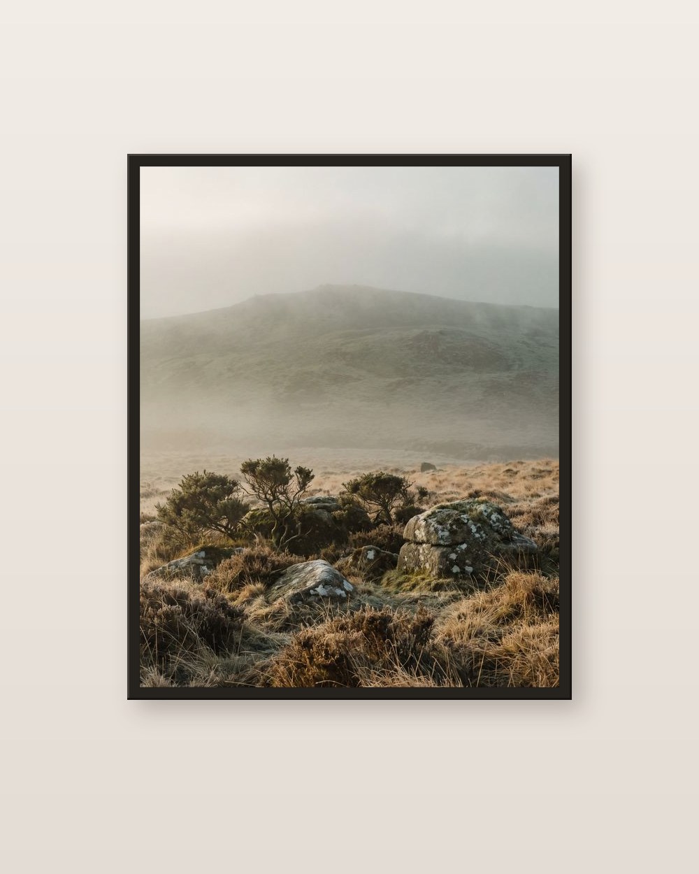 The golden moor