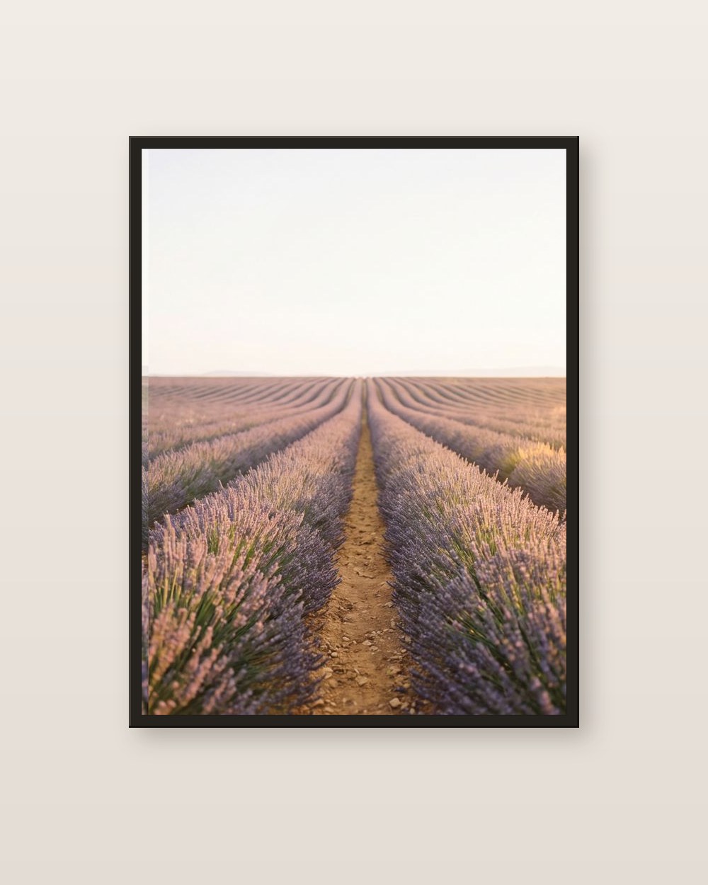 The lavender field · right panel