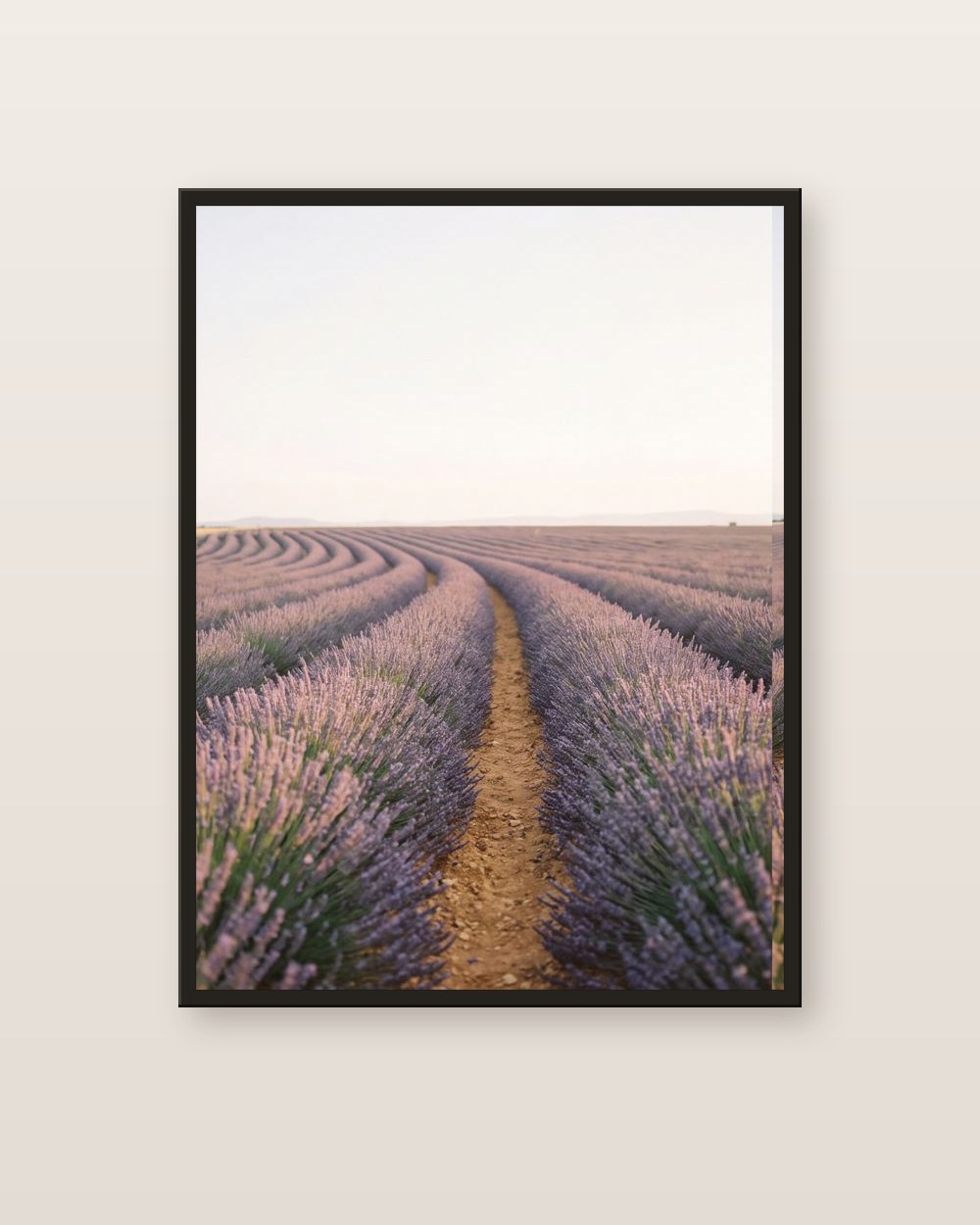 The lavender field · left panel