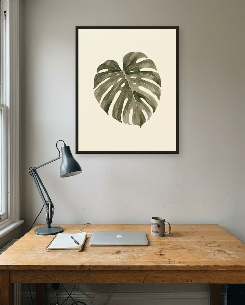 Monstera, study