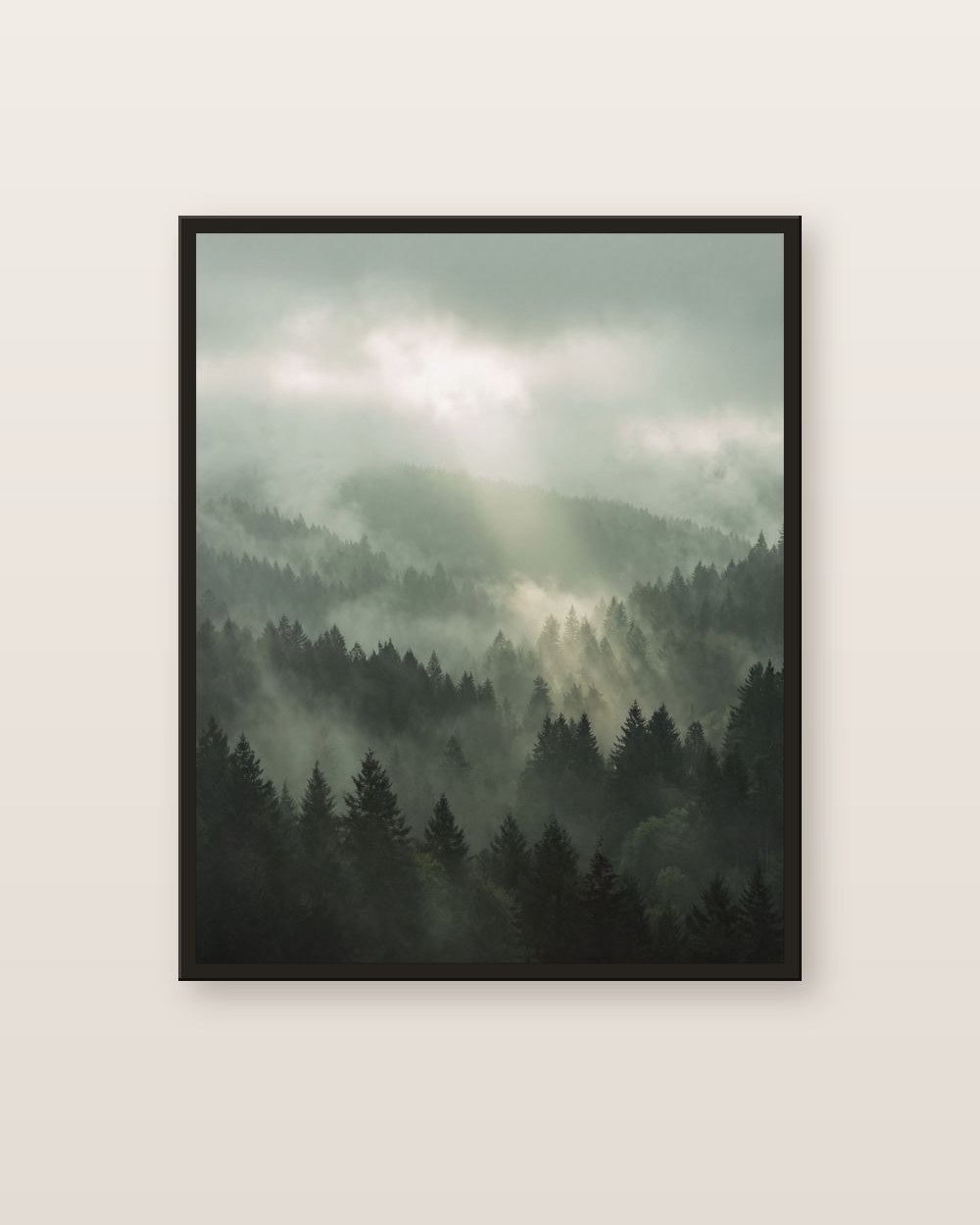 The misty valley