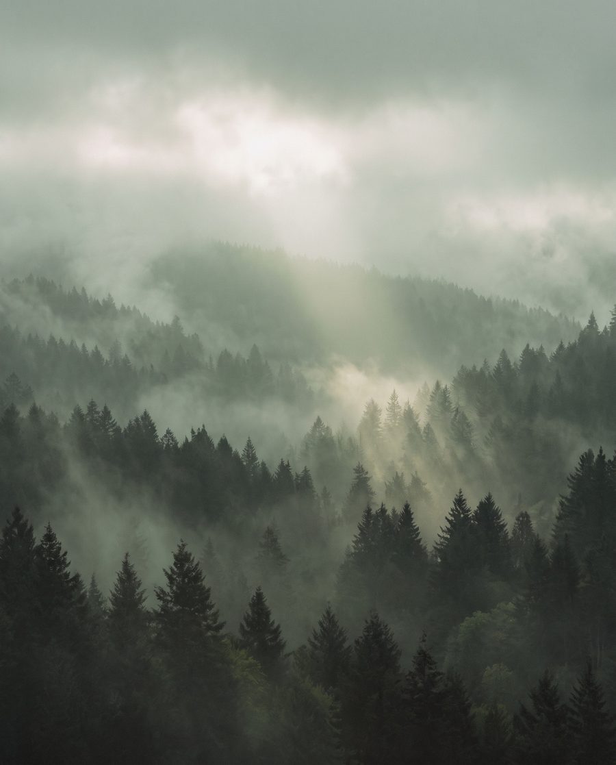 The misty valley, landscape print