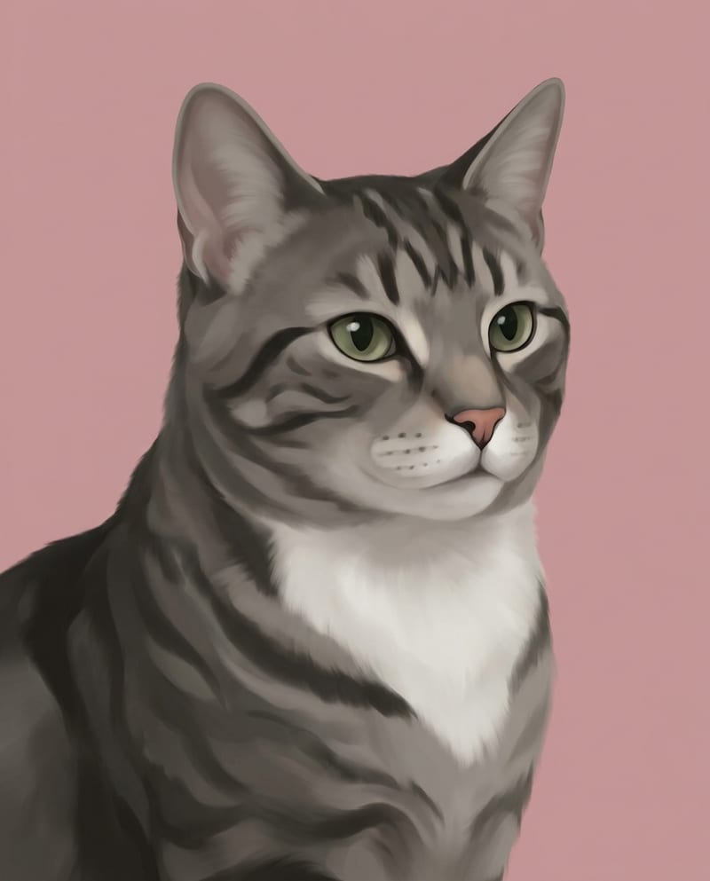 Modern cat portrait: a grey tabby on a flat powder pink background
